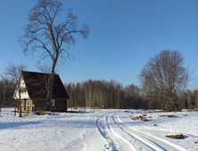 Домовладение в деревне Новинки